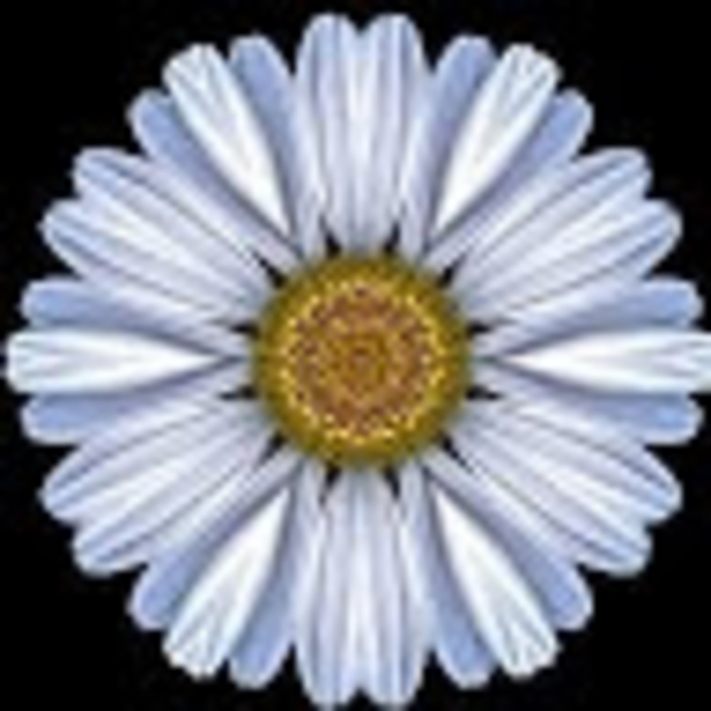 Meet your Posher, Kristie